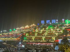-枇杷园食为鲜火锅(南山店)