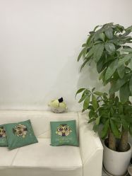 点击看大图 -悟空祛痘·亚健康皮肤管理中心