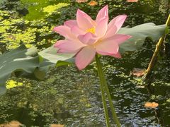 -莹珠阁·私房菜