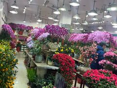 -双季花艺园艺市场(浦东店)