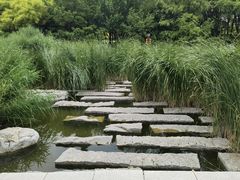 -大望京公园