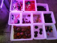 -宝鸡东道花鸟鱼虫市场(吉利花园商场店)