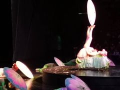 -重庆国际马戏城