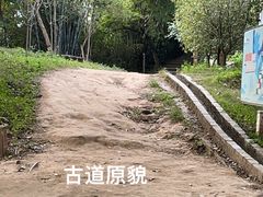 -羚羊峡古栈道森林公园