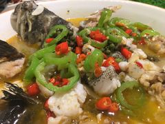 青花椒石斑鱼-香香海南菜餐厅