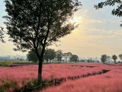 -汉长安城未央宫国家考古遗址公园