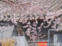 -三里河公园