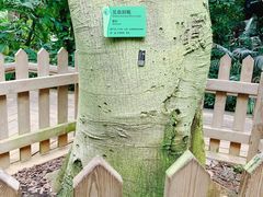 -中国科学院华南植物园