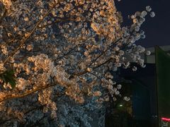 -龙美术馆(西岸馆)