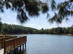 -南京市无想山景区