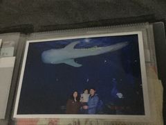 -烟台海昌鲸鲨海洋公园