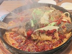 -老板恋上鱼(恒隆广场店)