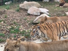 -西安秦岭野生动物园