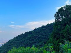 -北京西山国家森林公园