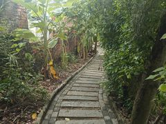 -扬美古镇景区