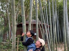 -同里国家湿地公园