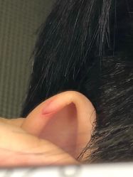 -IN STYLE·全国形象店