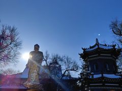 -哈尔滨极乐寺