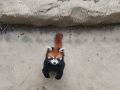 -南昌动物园