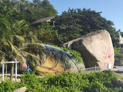 -海南分界洲岛旅游区