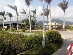 -亚龙湾国际玫瑰谷