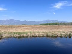 -野鸭湖国家湿地公园