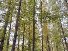 -国家植物园南园