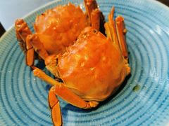 -扬州狮子楼·非遗淮扬菜(总店)