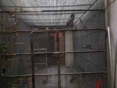 -观桥阁(锦溪店)