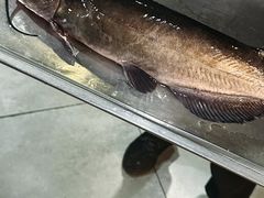 -金三可市井水煮鱼(金碧园店)