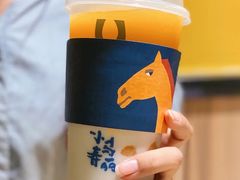 -春丽小马(济南恒隆广场店)