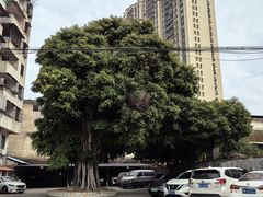 -糖果时光文创产业园