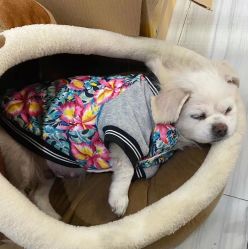 -雅洁美甲美睫