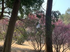 -杭州植物园