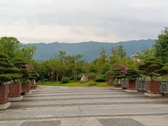 -炎帝陵景区