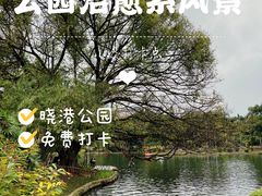 -晓港公园