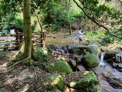 -火炉山森林公园