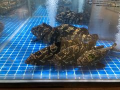 -七鲜超市(通州ONE店)
