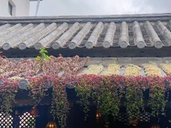 -尽善百年古院餐厅(王家老宅店)