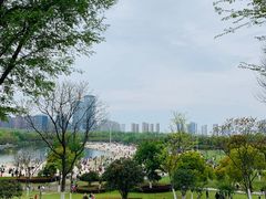 -滨湖塘西河公园