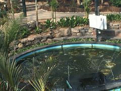 -武清南湖绿博园