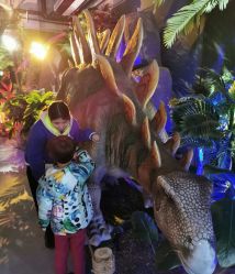 -恐龙探索乐园(磁器口店)