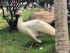 -昆明动物园