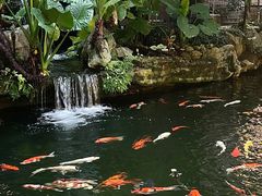 -新世纪大酒楼·30年南海菜