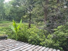 -野蔓果·山野菜(西湖景区·龙井茶田店)