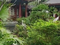 -大亚湾红树林城市湿地公园