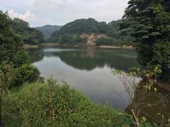 -广州市石门国家森林公园