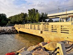 -宝安西湾红树林湿地公园