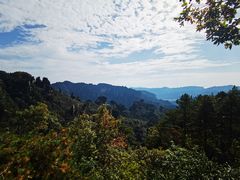-业华湘·特色菜