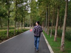 -昆山城市生态森林公园